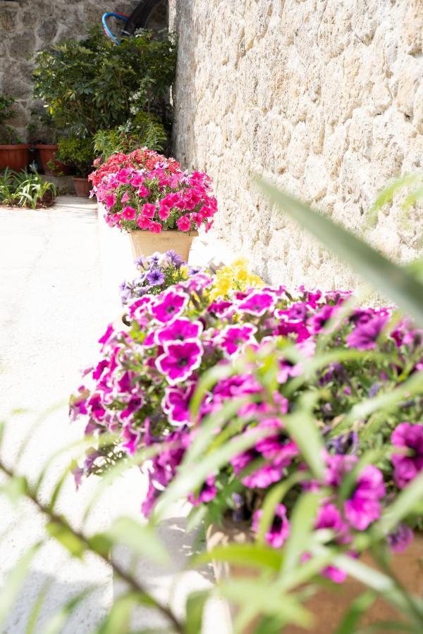 La Bella Vita - Luxury Holiday House Close To Corfu Town Potamos  Екстер'єр фото